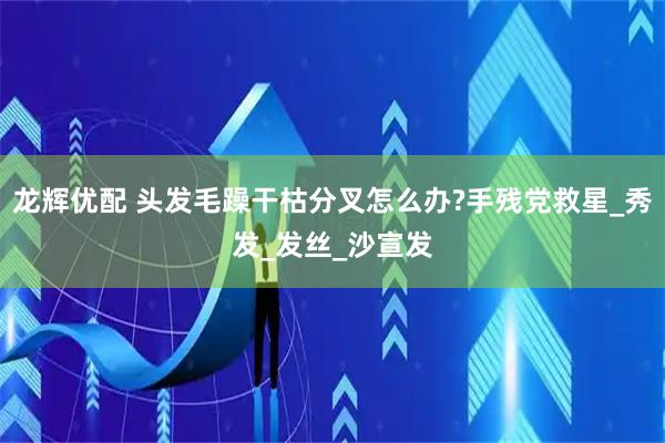 龙辉优配 头发毛躁干枯分叉怎么办?手残党救星_秀发_发丝_沙宣发