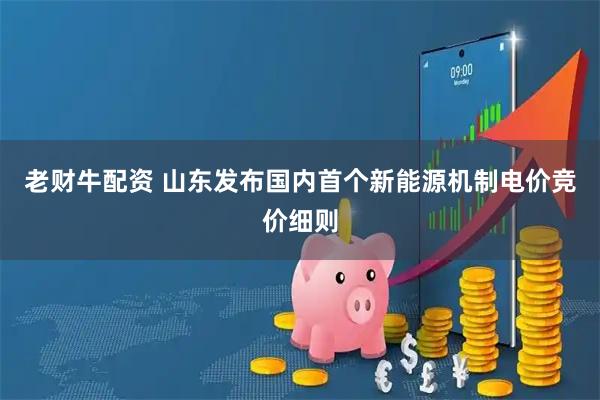 老财牛配资 山东发布国内首个新能源机制电价竞价细则