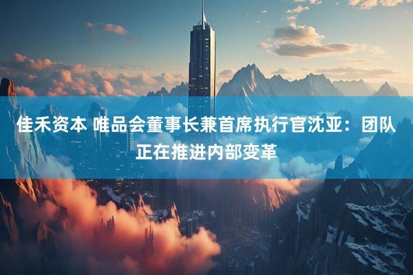 佳禾资本 唯品会董事长兼首席执行官沈亚：团队正在推进内部变革