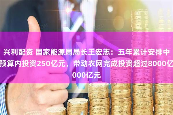 兴利配资 国家能源局局长王宏志：五年累计安排中央预算内投资250亿元，带动农网完成投资超过8000亿元