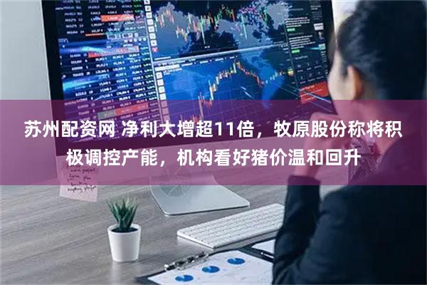 苏州配资网 净利大增超11倍，牧原股份称将积极调控产能，机构看好猪价温和回升