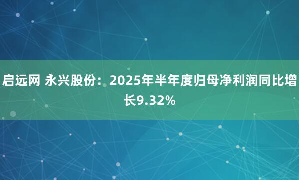 启远网 永兴股份：2025年半年度归母净利润同比增长9.32%