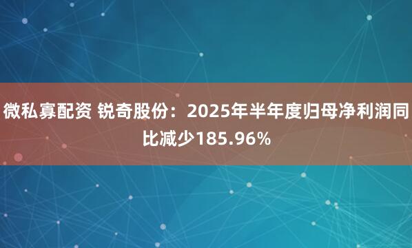 微私寡配资 锐奇股份：2025年半年度归母净利润同比减少185.96%