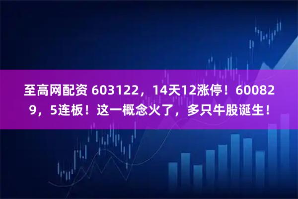 至高网配资 603122，14天12涨停！600829，5连板！这一概念火了，多只牛股诞生！