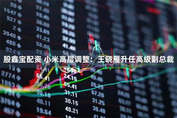 股鑫宝配资 小米高层调整:王晓雁升任高级副总裁