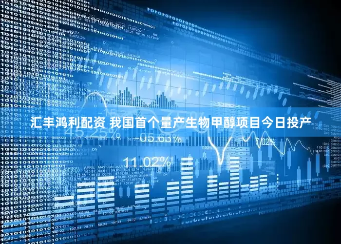 汇丰鸿利配资 我国首个量产生物甲醇项目今日投产